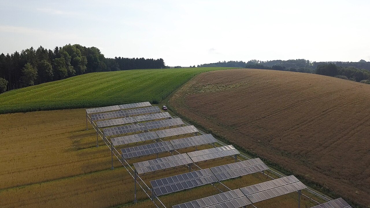 Aerial view of crop rows growing beneath an elevated agrivoltaics solar array